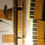 Bermuse Piano Tuning & Repair Services