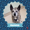 Oconomowoc Animal Hospital gallery