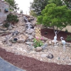 Specialty Water Gardens & Landscapes gallery