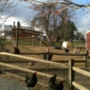 Klein Farms Dairy & Creamery gallery