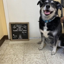 Brookhill Animal Hospital - Veterinarians