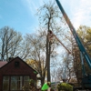 Specialty Tree & Bucket Service gallery