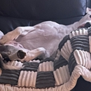 Gentle Doctor Animal Hospital - Veterinarians