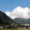 Manoa Valley District Park gallery