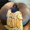 LoveSac gallery