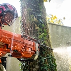 Western States Tree Service