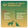 Earthwise Holistic Pet Supply & Grooming Services gallery