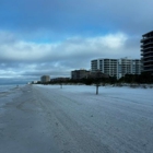 Suncoast Beach Grooming