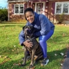 Underdog K-9 Academy gallery