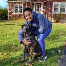 Underdog K-9 Academy - Pet Training