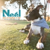 Neel Veterinary & Emergency Hospital gallery