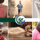 Armstrong King Chiropractic Center