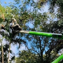 Mahalo Tree Service - Tree Service