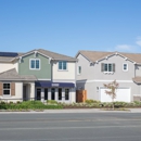 D.R. Horton Bay Area Division Office - Real Estate Developers