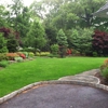 Privacyplantings.com gallery