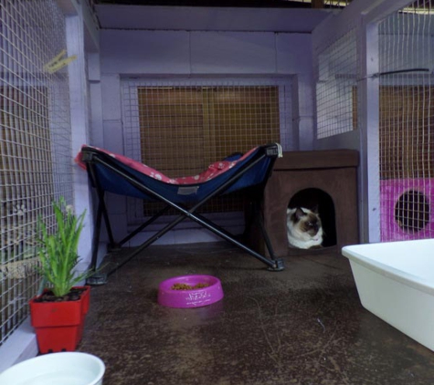 Homebush Boarding Kennels & Cattery - Homebush, QLD