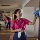 Molly Maid of Springfield - Building Cleaning-Exterior