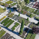 Moon Valley Nurseries