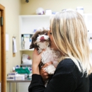 Palmetto Animal Hospital - Veterinarians
