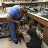 Chilhowee Veterinary Clinic gallery