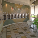 Yogurt Story