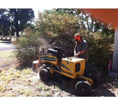 Western Tree Management NSW Pty Ltd
