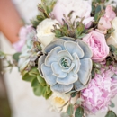 Elements Catering and Floral Design - Linens