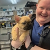 VCA Wingate Animal Hospital gallery