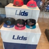 Lids gallery