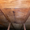 Otero Property Adjusting & Appraisals Inc gallery