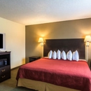 Quality Inn - Motels