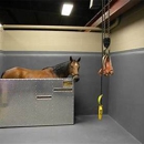 Victoria Veterinary Clinic