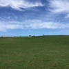 Saddle Ridge Stable gallery