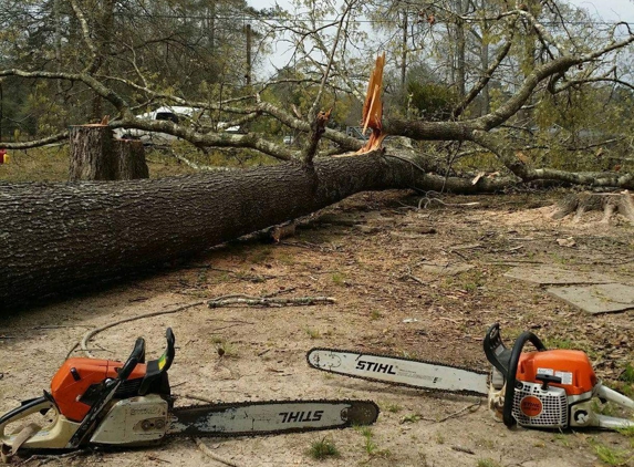 Aaron tree service - Houston, TX