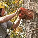 Larry's Tree Care - Tree Service