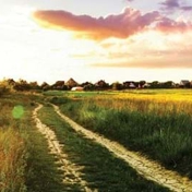Gallery Image Number 2