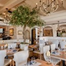 Mediterraneo - Mediterranean Restaurants