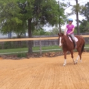 Lil Pease Of Texas; LLC - Horse Stables