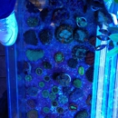 Sea Schor - Pet Stores