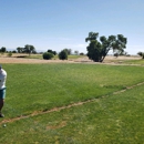 Mountain View Golf Course - Golf Courses