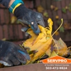 SERVPRO of Yamhill & Tillamook Counties gallery