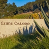 Linne Calodo gallery