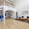 Ivory Lantana gallery