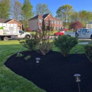 Lions Tree & Landscaping - Tree Service