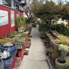 Deep Roots Garden Center gallery