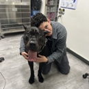 VCA McClave Animal Hospital - Veterinarians