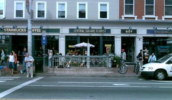 Central Square Florist - Cambridge, MA