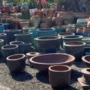 Unique Plants and Palms - Garden Centers