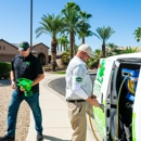 Complete Pest Management - Swimming Pool Repair & Service