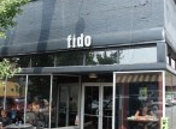 Fido - Nashville, TN